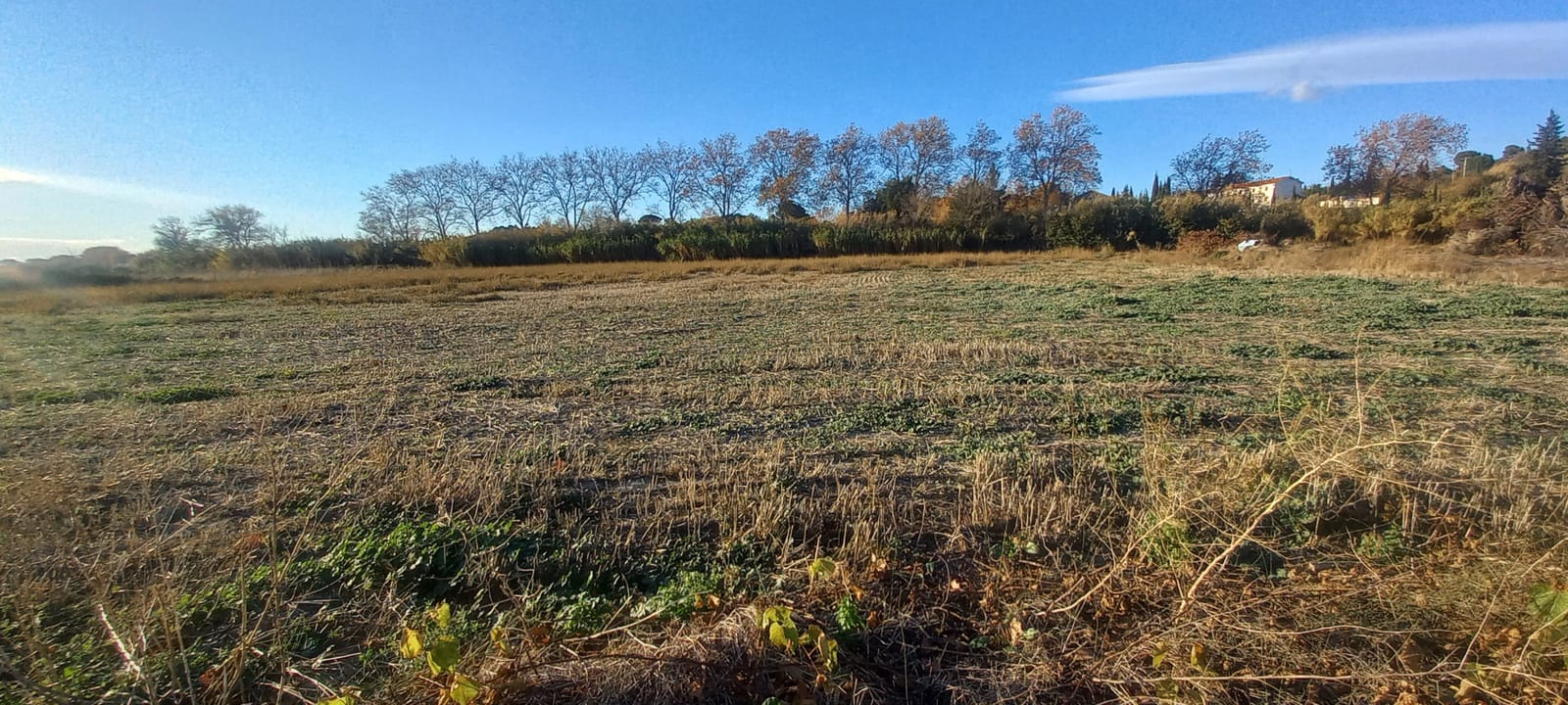 Terrain Agricole Montady