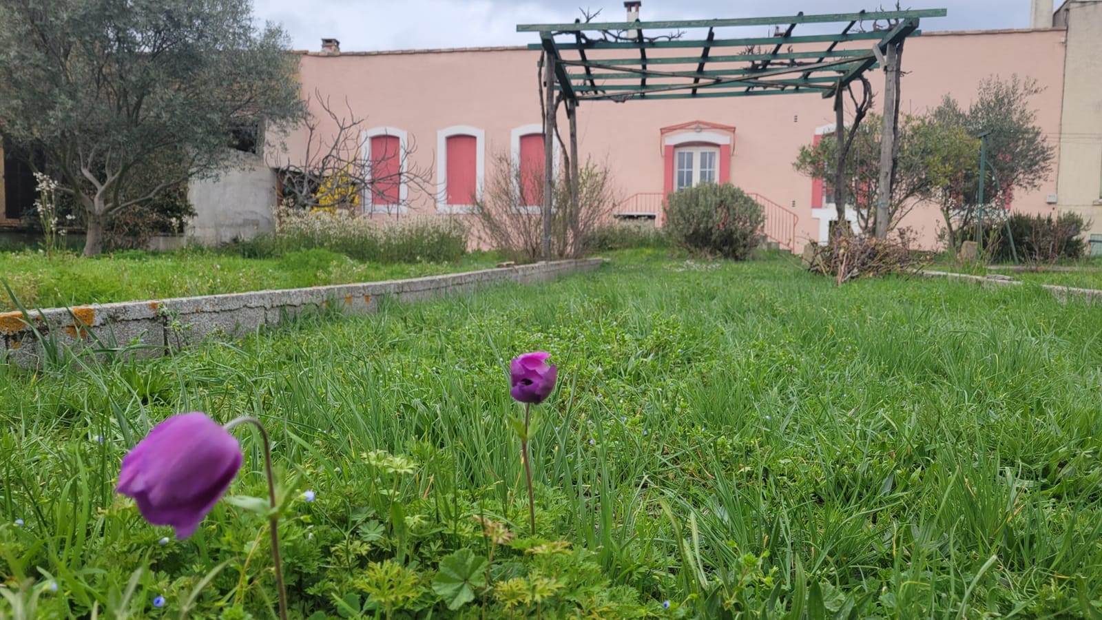 Maison Pieusse