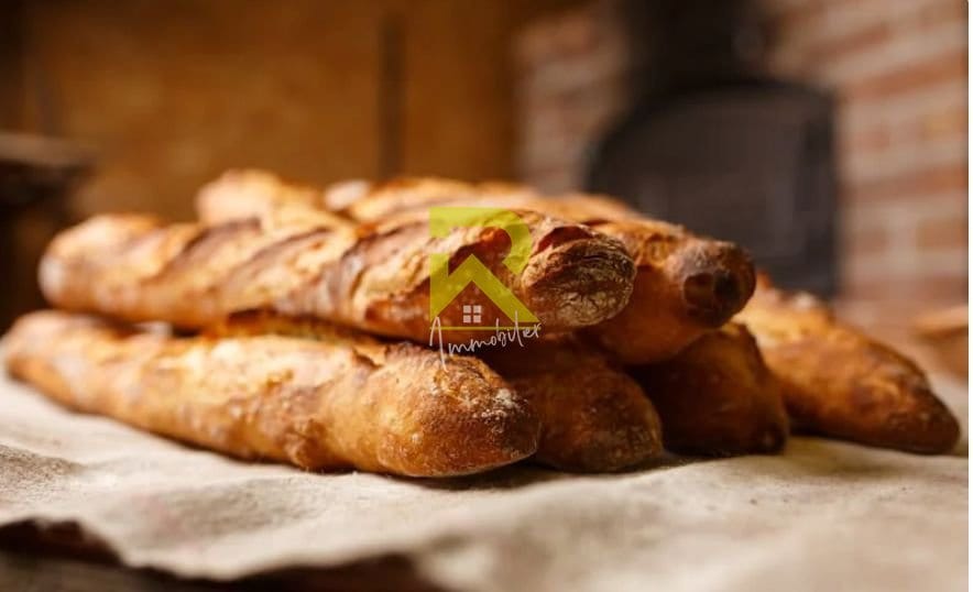 Local Commercial Agde