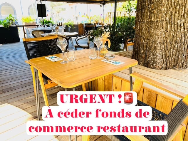Local Commercial Marseillan