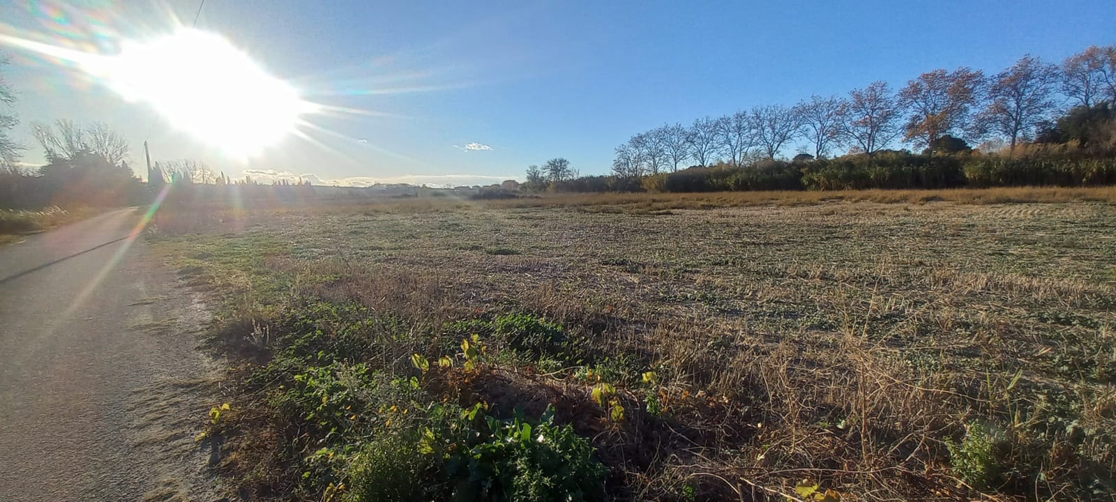 Terrain Agricole Montady