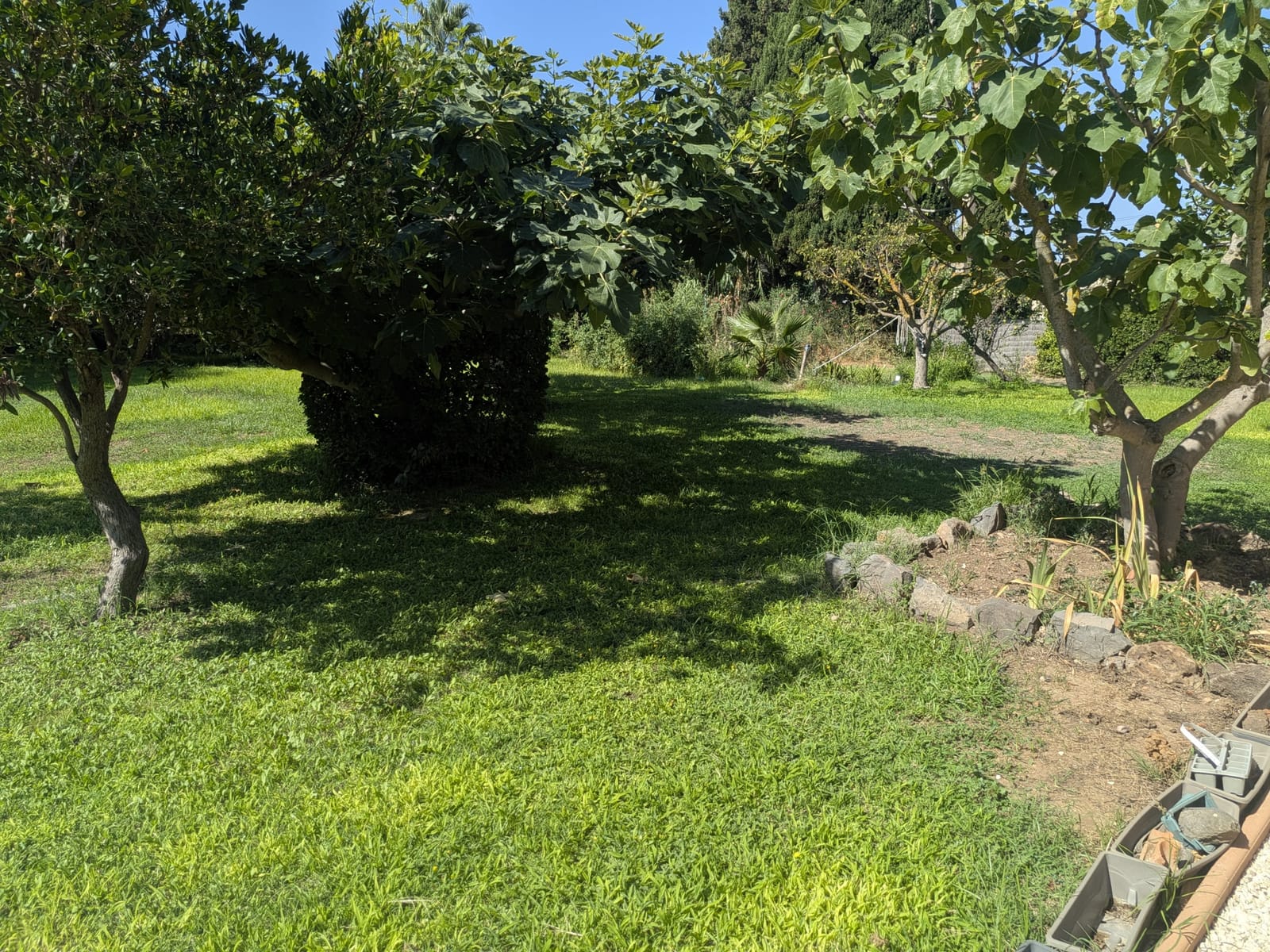 Terrain à Batir
