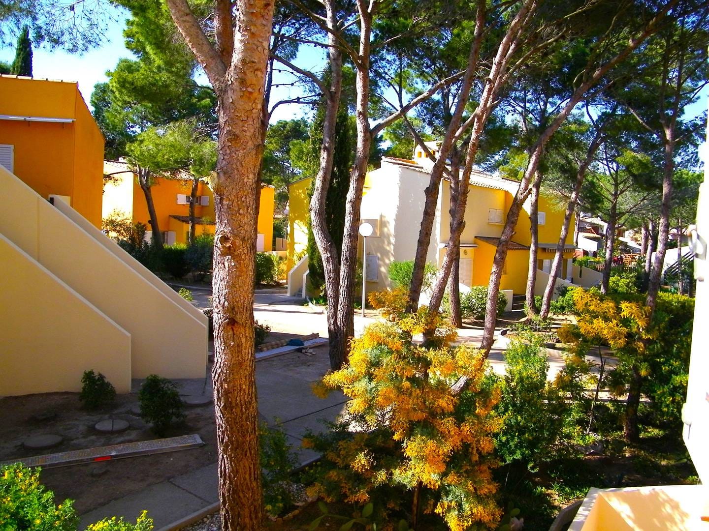 Studio Le cap d agde